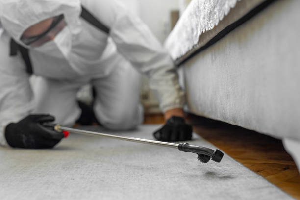 Professional Pest Control technician working in Chase County County, KS